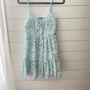 Petal and pup dress - Toby heart ginger XS.